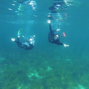 Meet your Posher, Tracy